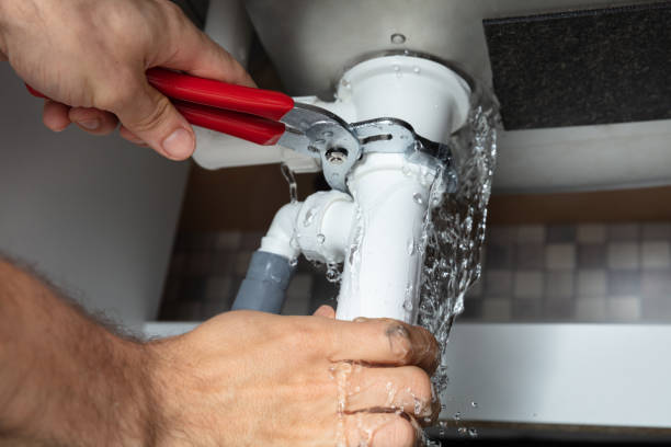 Best Professional water damage repair  in Weldon, NC