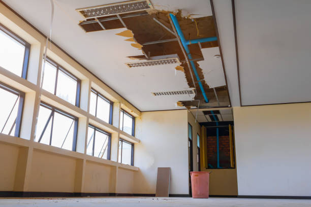 Best Flood damage cleanup  in Weldon, NC
