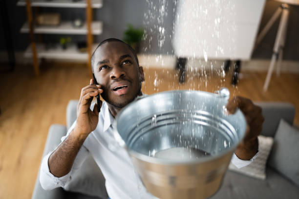 Best Flood restoration services  in Weldon, NC