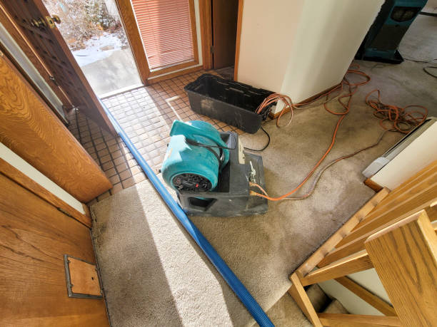 Best Commercial water damage restoration  in Weldon, NC