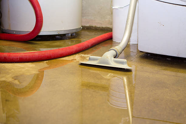 Best Water damage restoration process  in Weldon, NC