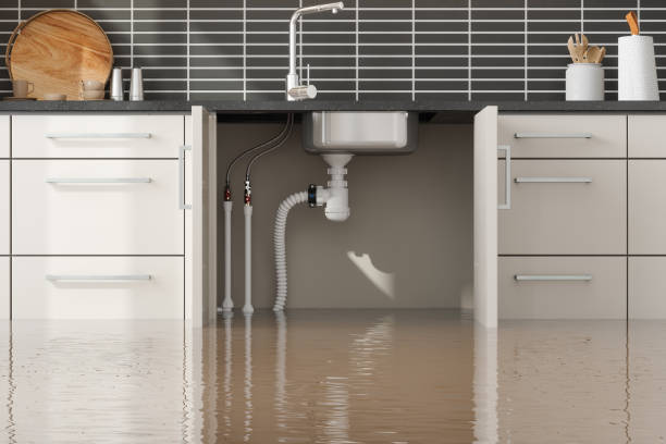  Weldon, NC Water damage restoration Pros